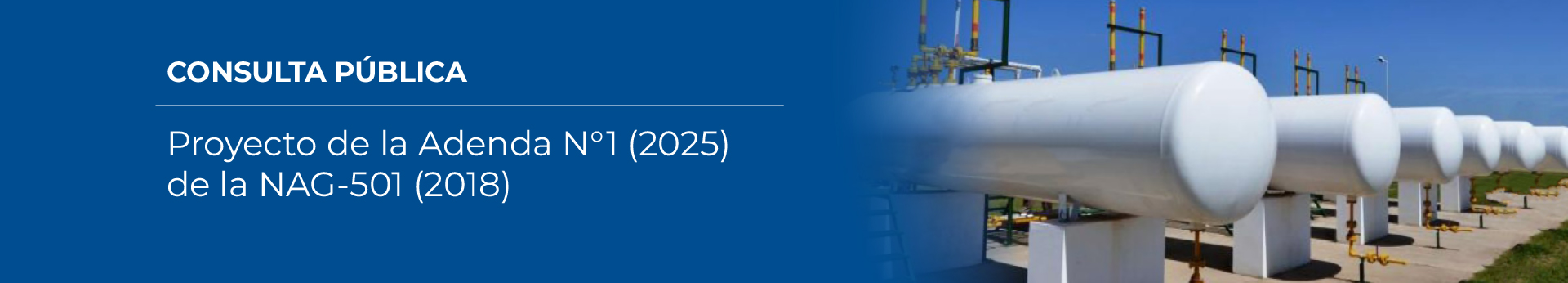 Proyecto de la Adenda N°1 (2025) de la NAG-501 (2018)