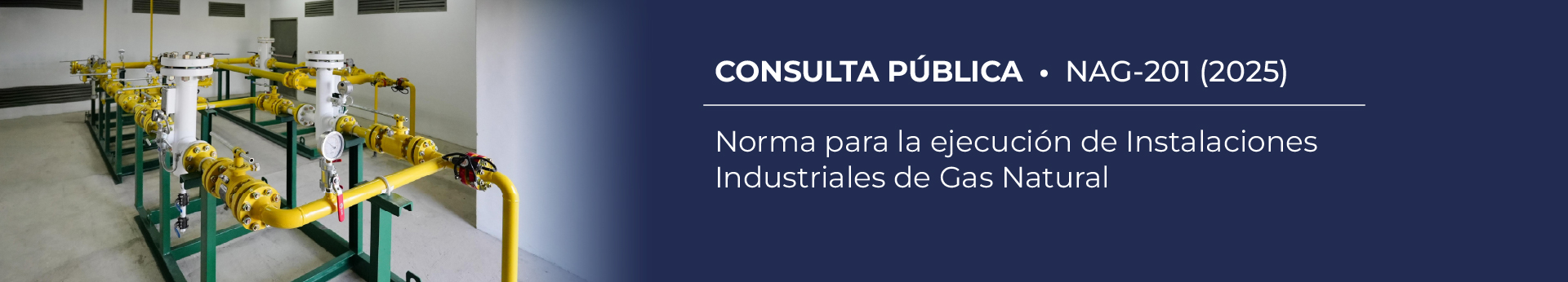 NAG-201: Norma para la ejecución de Instalaciones Industriales de Gas Natural.