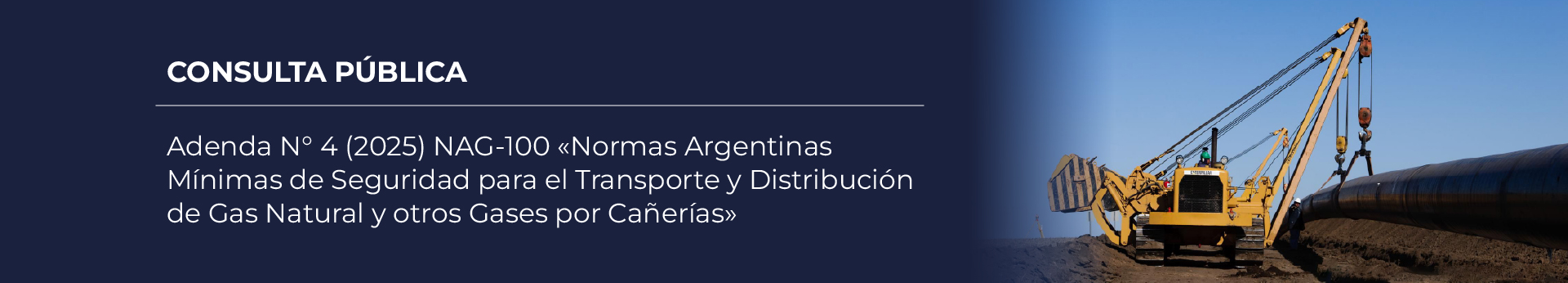 Consulta pública. Adenda Nº4 (2025) NAG-100 