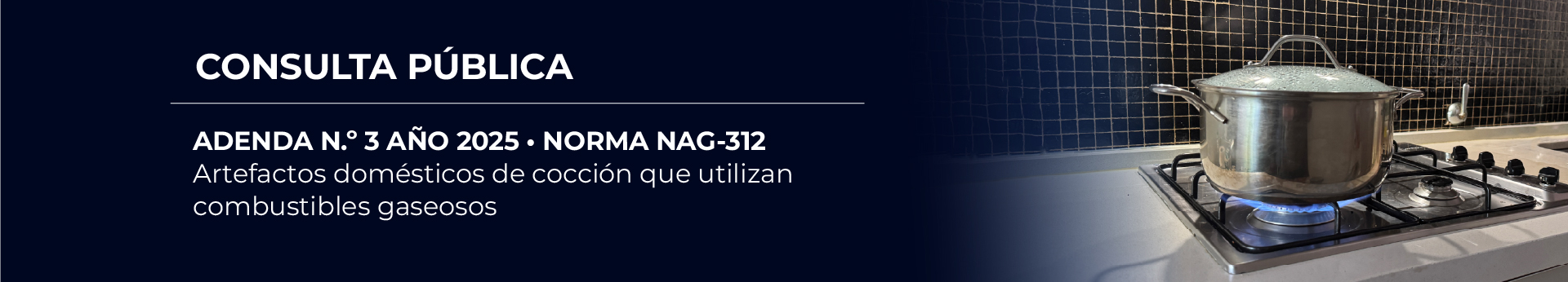 Adenda N°3 (2025) - NAG-312 (2010): Artefactos domésticos de cocción que utilizan combustibles gaseosos.