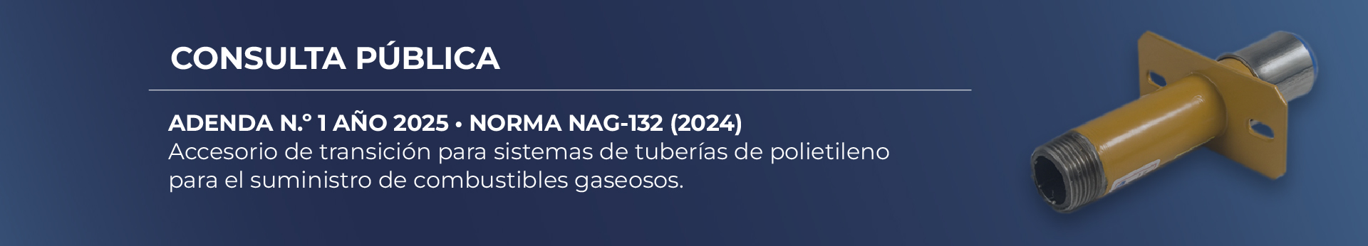 ADENDA N.º 1 Año 2025 de la Norma NAG-132 (2024)