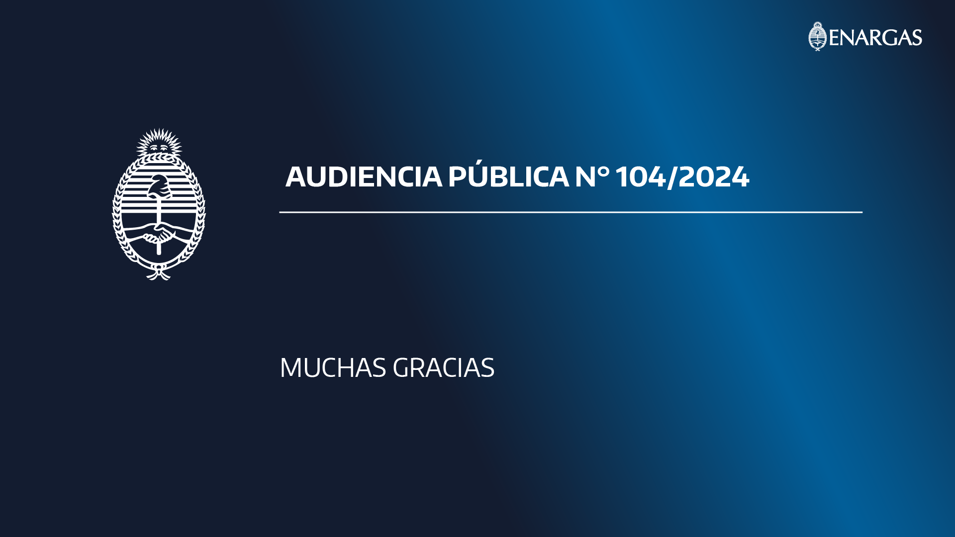 Audiencia Pública Nº104/2024 08/01/2023 9:00hs.